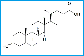 CHENODEOXYCHOLIC ACID EP IMPURITY C